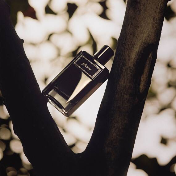 Brioni Intense Edp 60 Ml Erkek Parfüm - 5