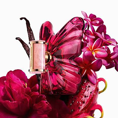 Carolina Herrera La Bomba Edp 80 Ml - 3