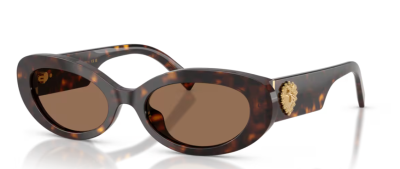 Dolce Gabbana 0DG4537 - 502/73 - 53 NC6 Kadın Güneş Gözlüğü - Dolce Gabbana