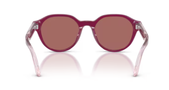 Emporio Armani Kids 0EK4008U - 638369 - 48 NC6 Çocuk Güneş Gözlüğü - 4