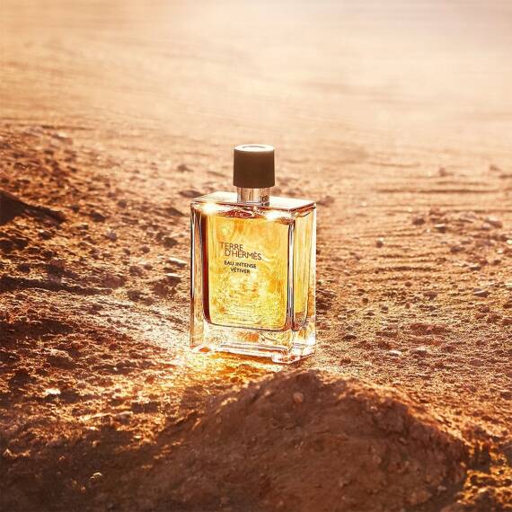 Hermes Terre D'Hermes Eau Intense Vetiver Edp 50 Ml Erkek Parfüm - 2
