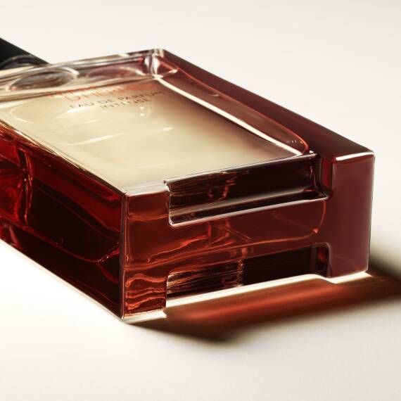 Hermes Terre D'Hermes Intense Edp 100 Ml Erkek Parfüm - 4
