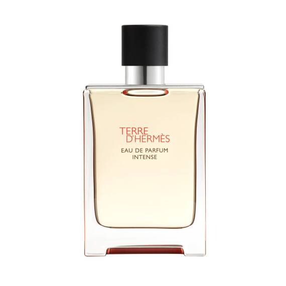 Hermes Terre D'Hermes Intense Edp 50 Ml Erkek Parfüm - 1
