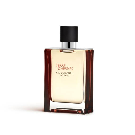 Hermes Terre D'Hermes Intense Edp 50 Ml Erkek Parfüm - 3