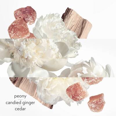 Hermes Twilly D'Hermes Eau Ginger Edp 85 Ml Kadın Parfüm - 4