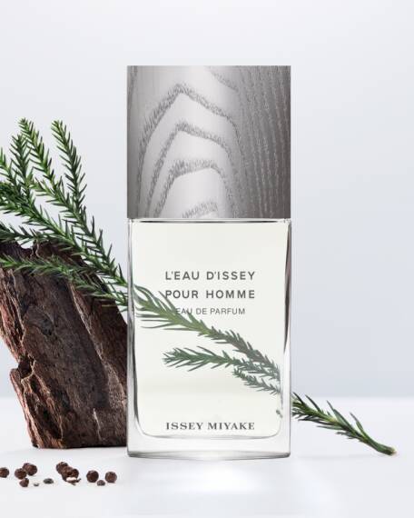 Issey Miyake L'Eau D'Issey Pour Homme Edp 75 Ml Erkek Parfüm - 2