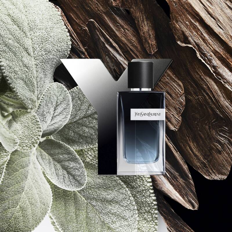 Yves Saint Laurent Y For Men Edp 100 Ml - Perfume Point